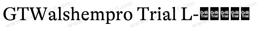 GTWalshempro Trial L字体转换